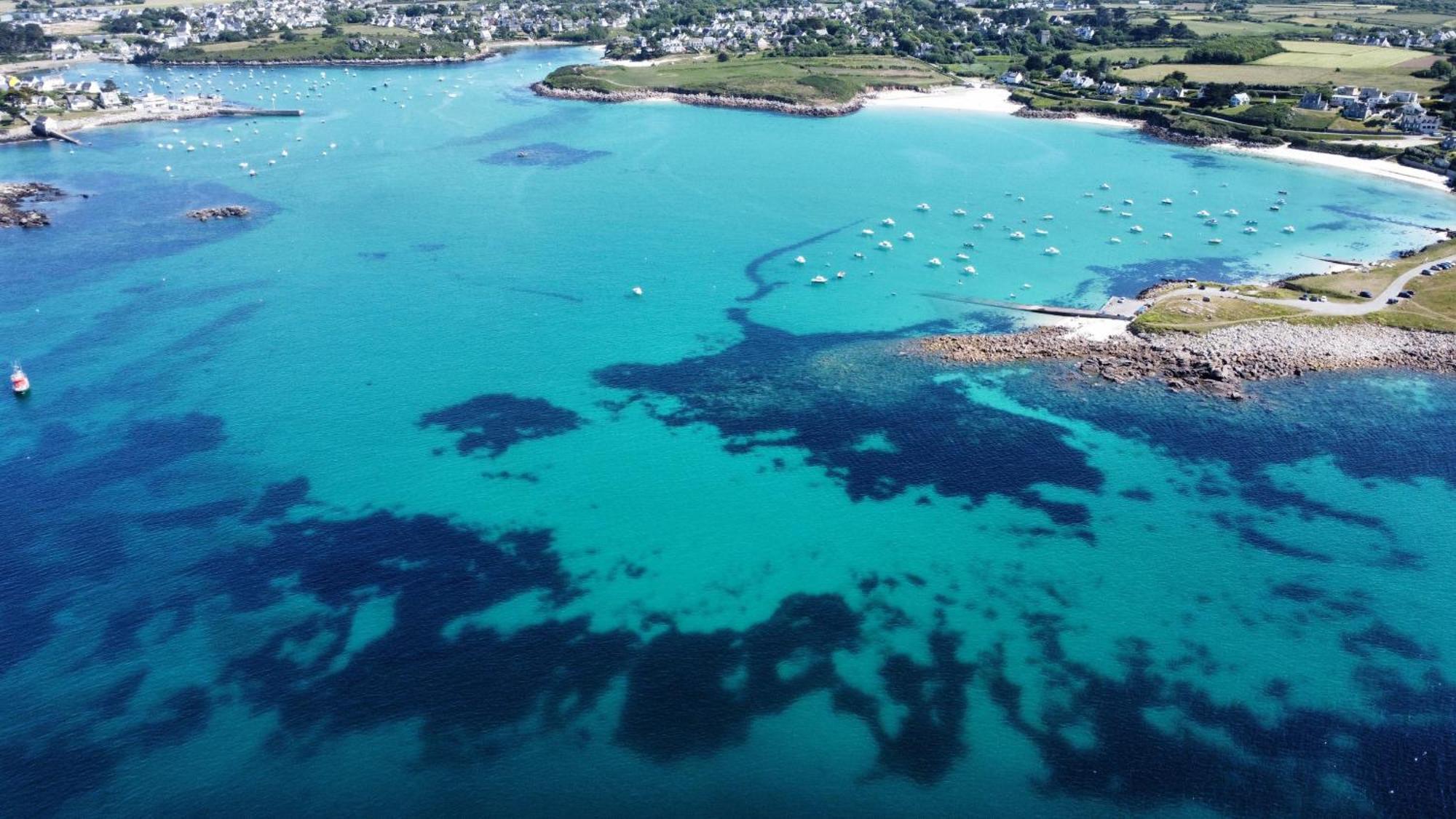Ty Mor Bras - Maison Familiale A 2 Pas De La Plage Portsall Buitenkant foto