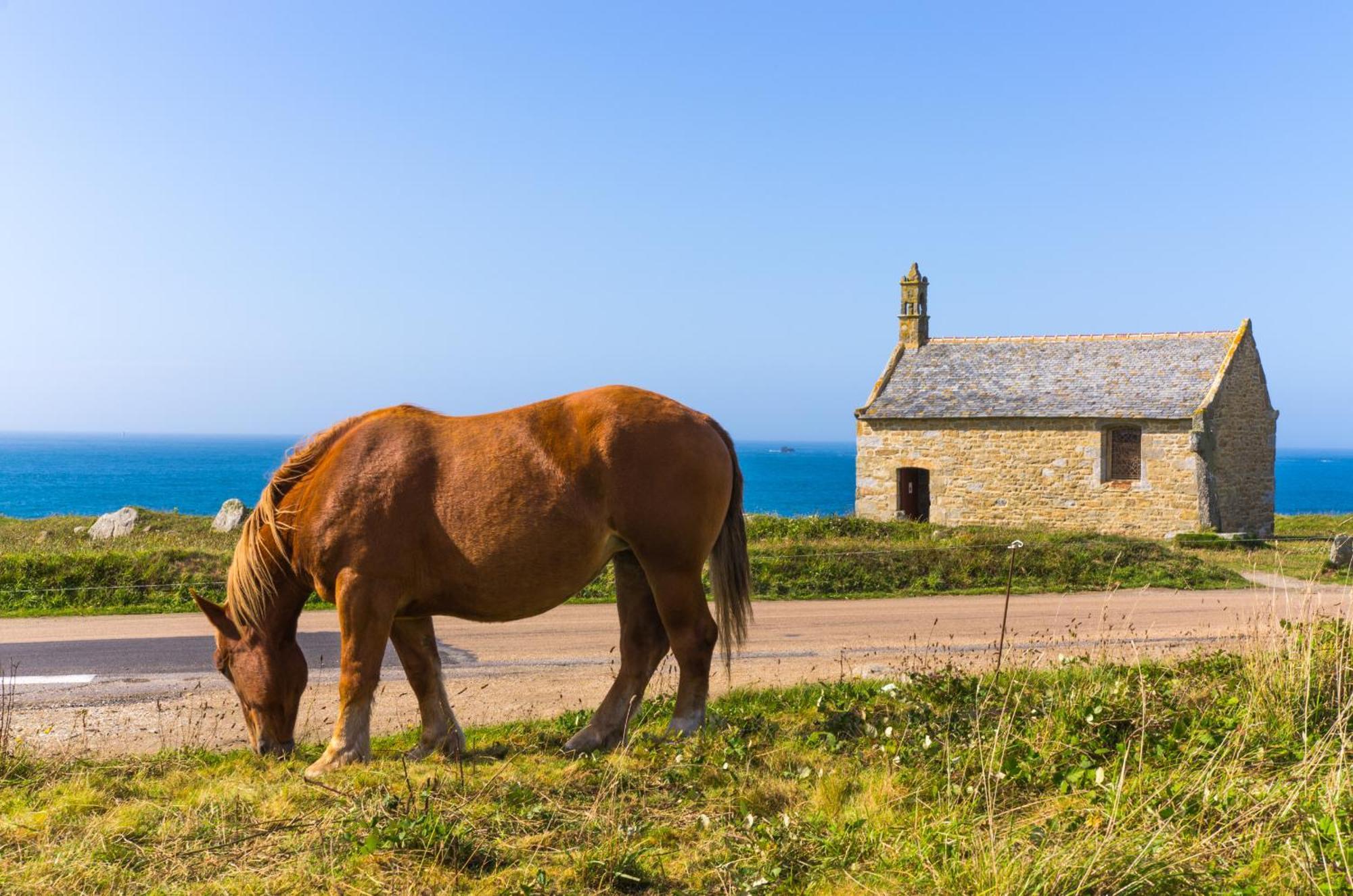Ty Mor Bras - Maison Familiale A 2 Pas De La Plage Portsall Buitenkant foto